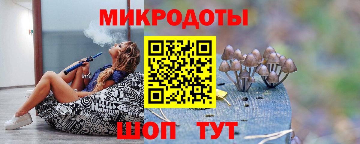 Псилоцибиновые грибы Psilocybine cubensis Стрежевой